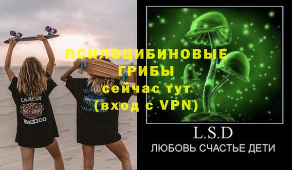 гашик Абинск