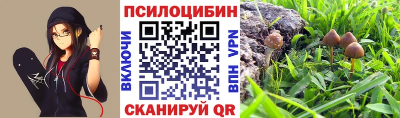 Псилоцибиновые грибы Magic Shrooms Яранск