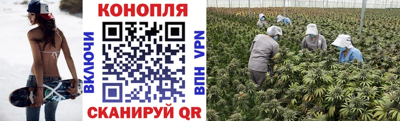 Шишки марихуана White Widow  где купить наркоту  Яранск 